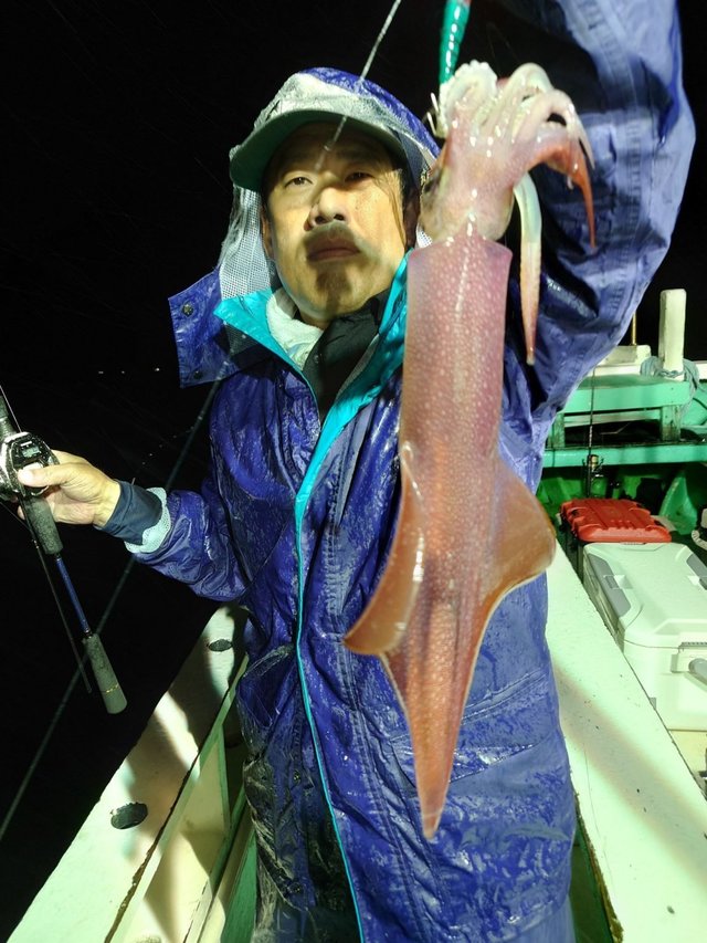 シロイカ(ケンサキイカ)