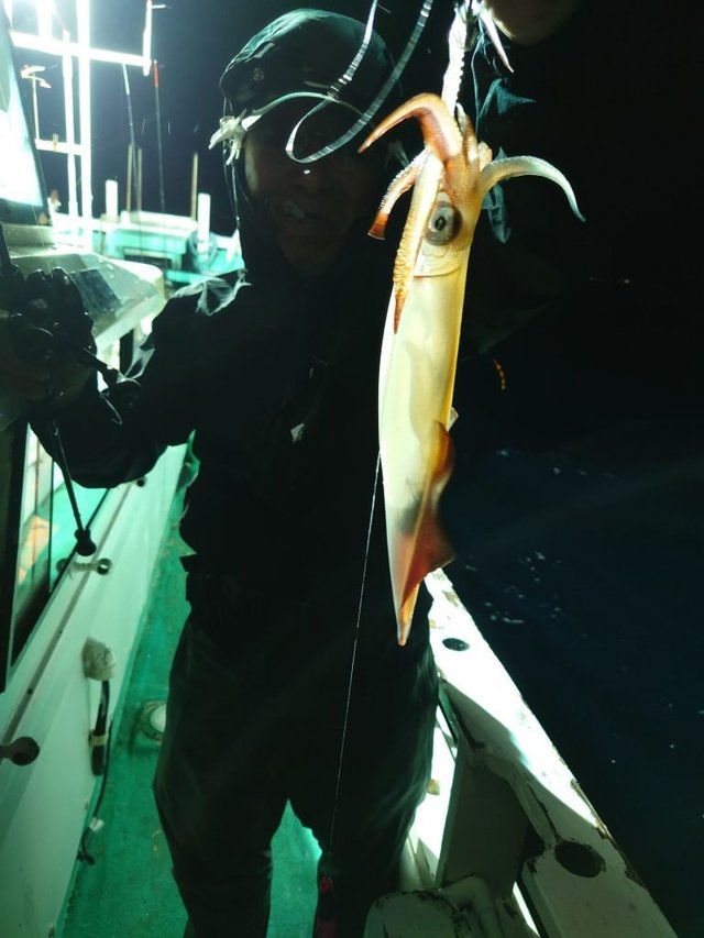 シロイカ(ケンサキイカ)