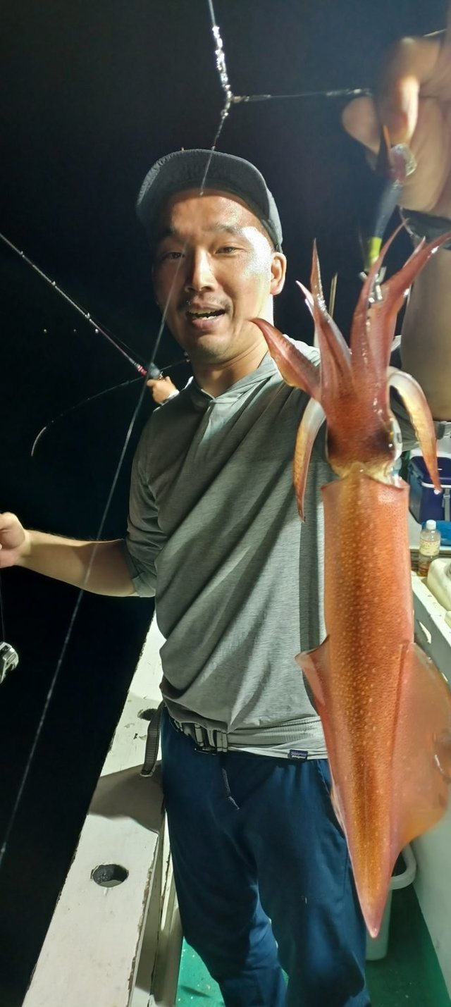 シロイカ(ケンサキイカ)