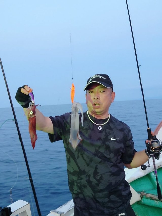 シロイカ(ケンサキイカ)