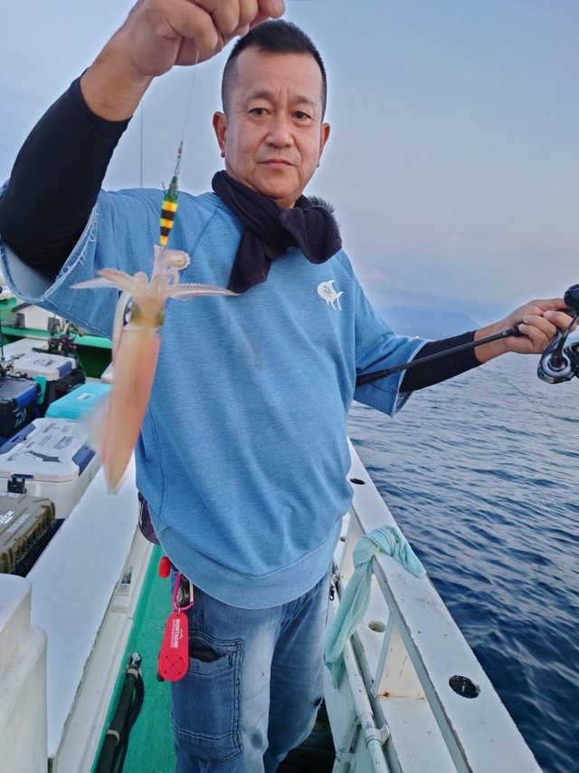 シロイカ(ケンサキイカ)