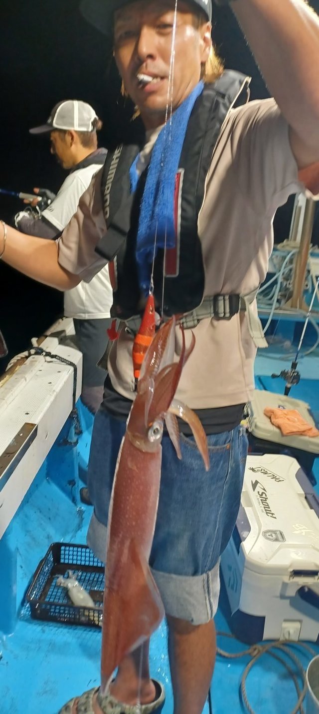 シロイカ(ケンサキイカ)