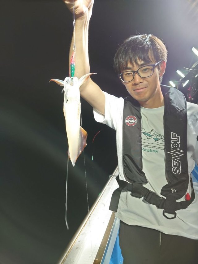 シロイカ(ケンサキイカ)