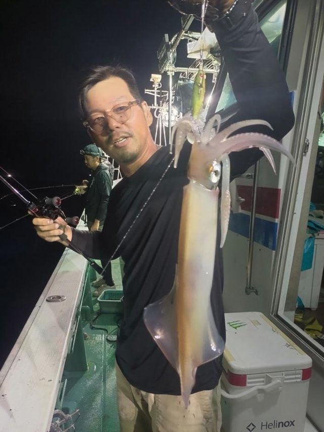 マイカ(ケンサキイカ)