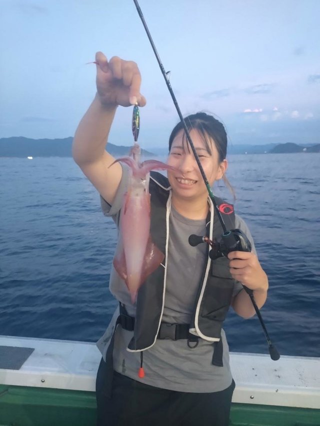 マイカ(ケンサキイカ)