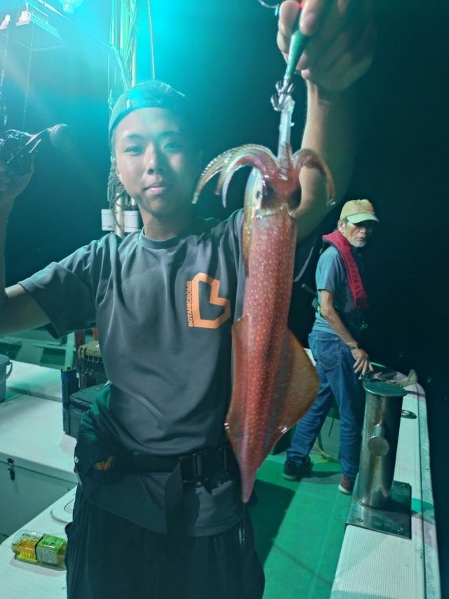 マイカ(ケンサキイカ)