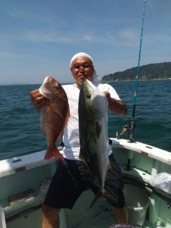 マダイ・ワラサ(ブリ)