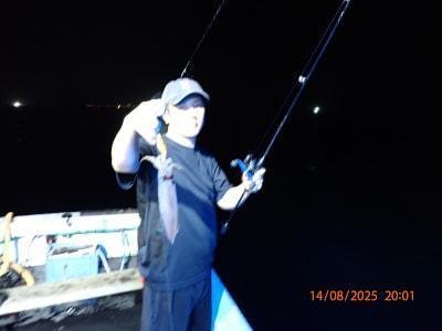 マイカ(ケンサキイカ)