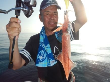 シロイカ(ケンサキイカ)