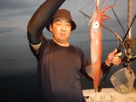 シロイカ(ケンサキイカ)