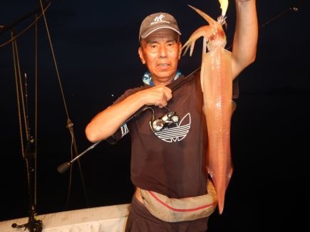 シロイカ(ケンサキイカ)