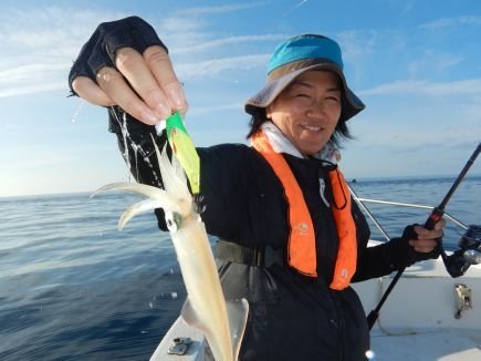 シロイカ(ケンサキイカ)