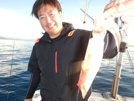 シロイカ(ケンサキイカ)