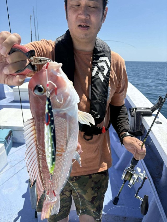 アマダイ(アカアマダイ)