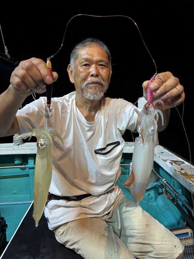 アカイカ(ケンサキイカ)