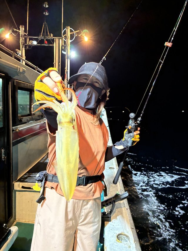 アカイカ(ケンサキイカ)