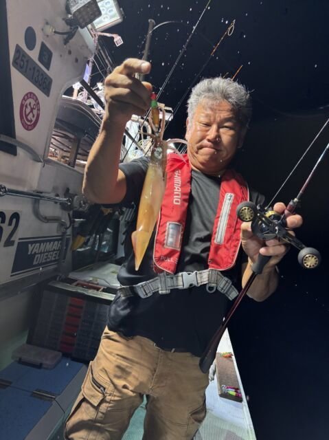 マイカ(ケンサキイカ)