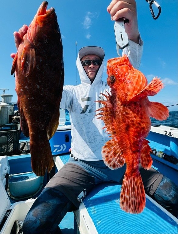 キジハタ・オニカサゴ