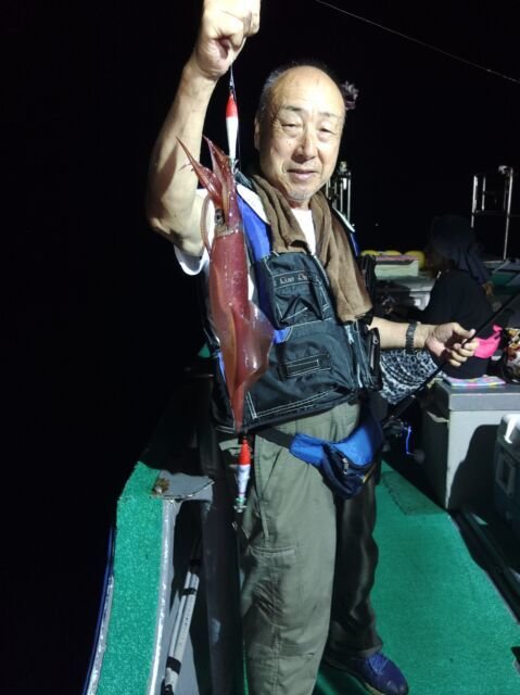 イカ(ヤリイカ)