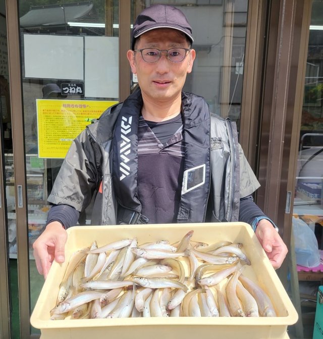 キス(シロギス)