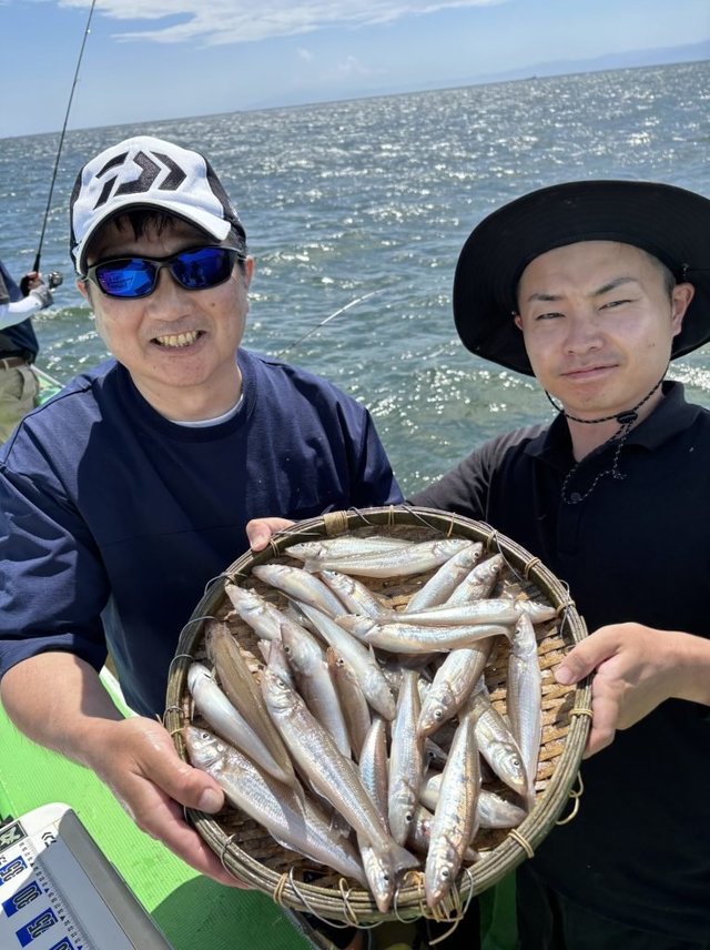 キス(シロギス)