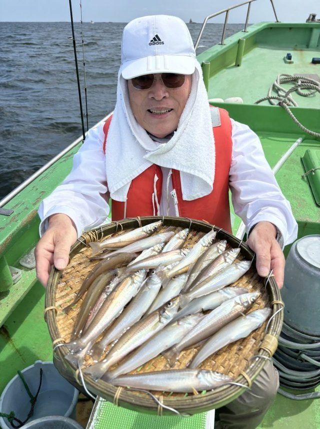 キス(シロギス)