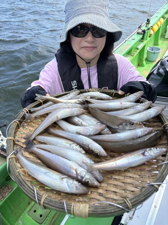 キス(シロギス)