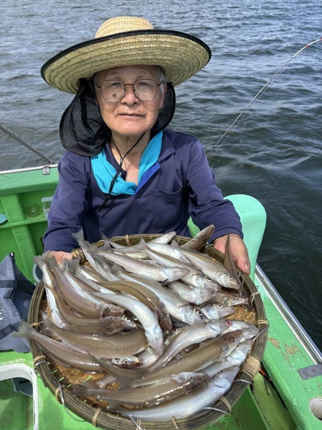 キス(シロギス)