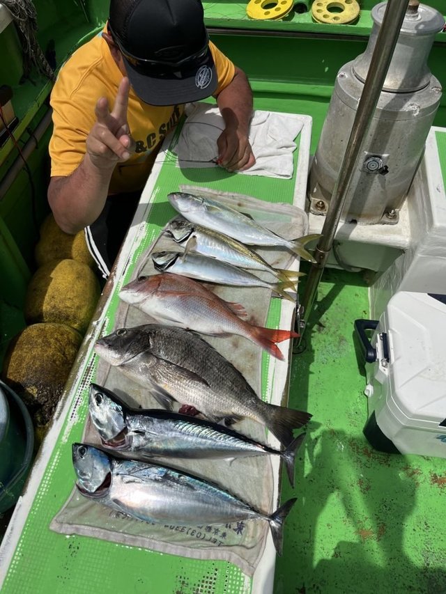 マダイ・クロダイ・メジナ・アジ(マアジ)