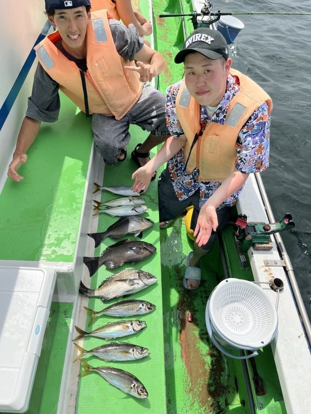 マダイ・クロダイ・メジナ・アジ(マアジ)