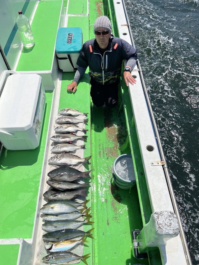 クロダイ・メジナ・アジ(マアジ)