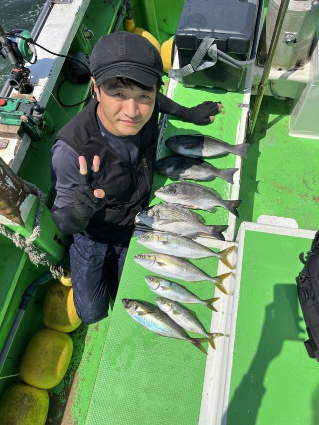 クロダイ・メジナ・アジ(マアジ)