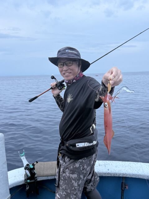 マイカ(ケンサキイカ)