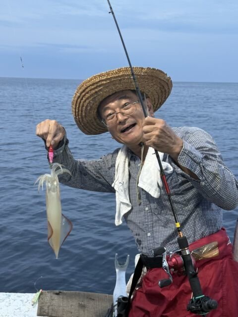 マイカ(ケンサキイカ)