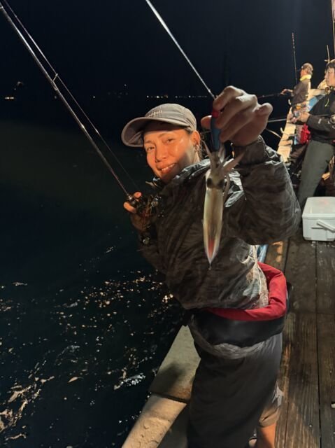 マイカ(ケンサキイカ)