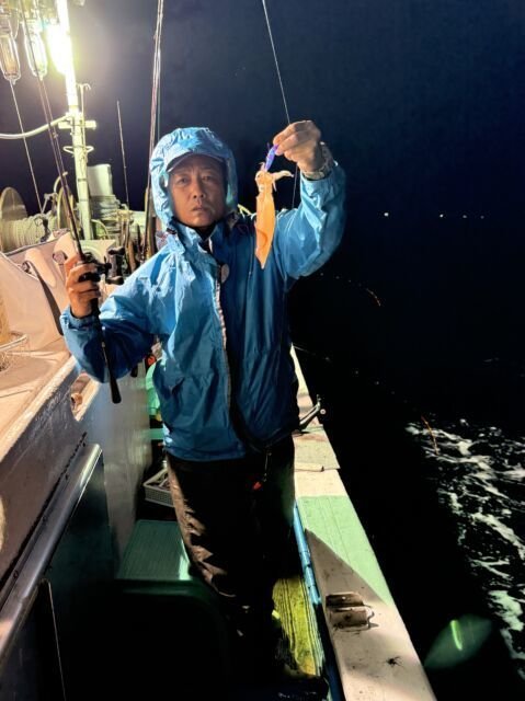 マイカ(ケンサキイカ)