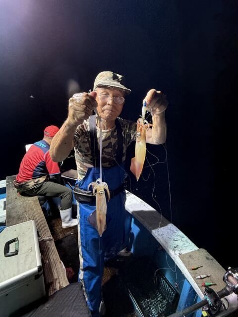 マイカ(ケンサキイカ)