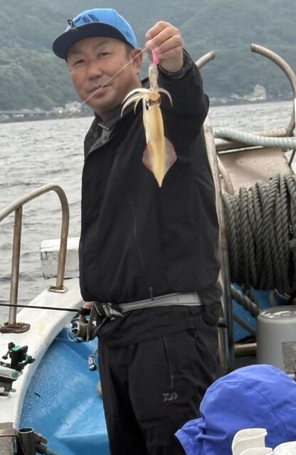 マイカ(ケンサキイカ)