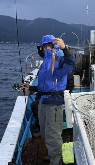 マイカ(ケンサキイカ)