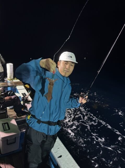 マイカ(ケンサキイカ)