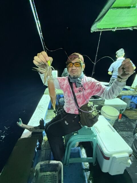 マイカ(ケンサキイカ)