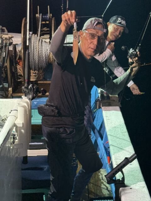 マイカ(ケンサキイカ)