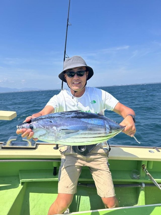 ホンガツオ(カツオ)