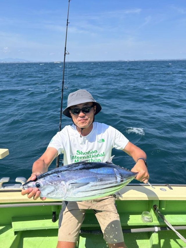 ホンガツオ(カツオ)