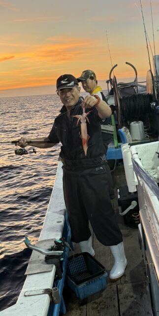 マイカ(ケンサキイカ)