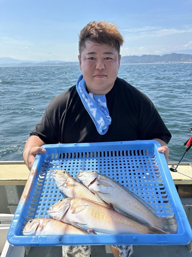 アマダイ(アカアマダイ)