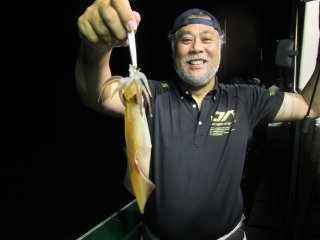 アカイカ(ケンサキイカ)