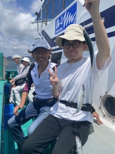 イワシ(カタクチイワシ)