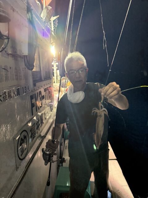 マイカ(ケンサキイカ)