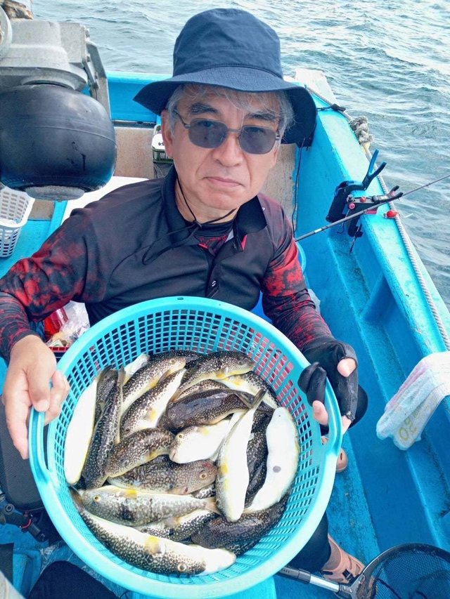 ショウサイフク(ショウサイフグ)